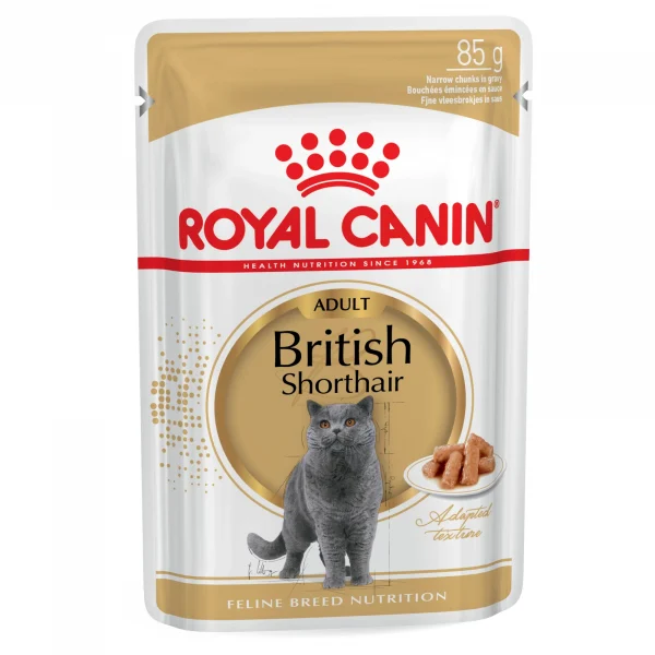 طعام رطب للقطط البريطانية-Royal Canin