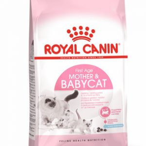 طعام جاف للأمهات والقطط الصغيرة- 4kg-Royal Canin