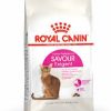 طعام جاف للقطط بالدجاج والأرز-Royal Canin-4kg